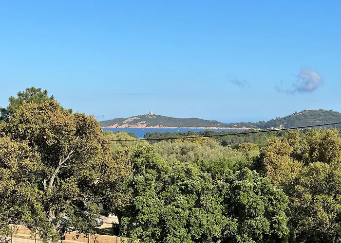 Bavella 别墅 宗扎